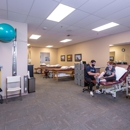 Golden Bear Physical Therapy Rehabilitation & Wellness - Physical Therapists