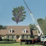 Hansen Landscape & Tree Services
