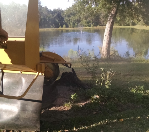 Ed's Stump Grinding - Carriere, MS