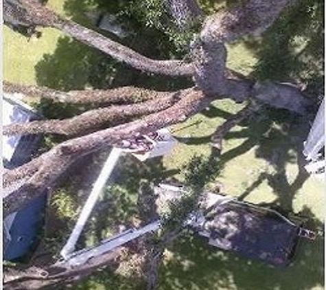 Windsor & Son Tree Service - Sorrento, FL