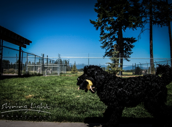 A Pet Boarding Retreat - Kalispell, MT