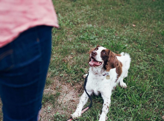 Sit Happens Dog Training Florida