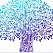 Gallery Image Number 3