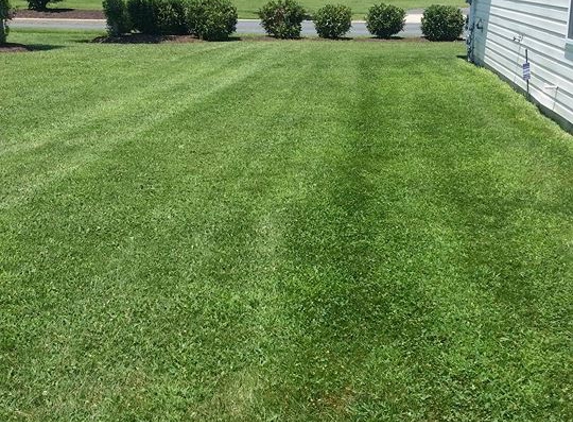 Tip Top Lawn Care - Easton, MD