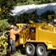 San Antonio Tree Surgeons