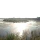 Cape May Bird Observatory