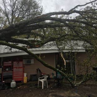 Mid State Tree Service - Pearl, MS