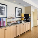 Hampton Inn Minneapolis/Burnsville - Hotels