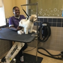 Petco Grooming - Pet Grooming