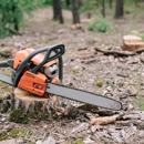 Bill's Lawn Maintenance and Landscaping - Stump Removal & Grinding