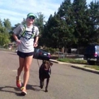 Denver Dog Joggers - Dog Walking - Dog Running Services