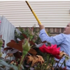 EcoShield Pest Solutions
