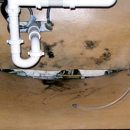 All-State Home & Building Inspections - Real Estate Inspection Service