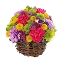 Fletcher Heights Florist - Flowers, Plants & Trees-Silk, Dried, Etc.-Retail