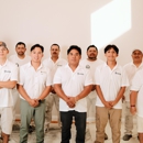 Alarcon Pro Painting - Painting Contractors