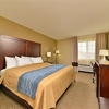 Comfort Inn & Suites Manheim - Lebanon gallery