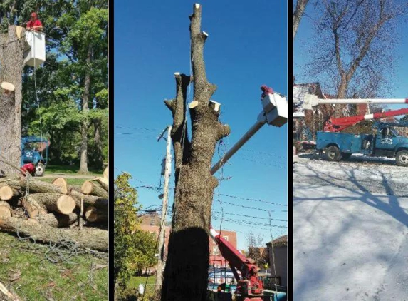 Meca Tree Service - Maywood, IL