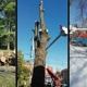 Meca Tree Service