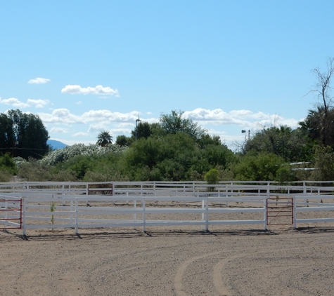 Diamond T Equestrian - Fort Mohave, AZ