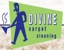 Divine Carpet Cleaning Logo