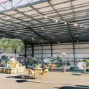 Hangar 858 - Wedding Chapels & Ceremonies