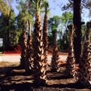 Greenville Landscaping Source - Landscape Designers & Consultants