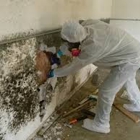Duraforce Cleaning service Inc