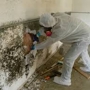 Duraforce Cleaning service Inc