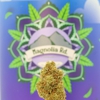 Magnolia Road Cannabis Co. gallery