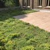 Riverbend Greenroofs gallery
