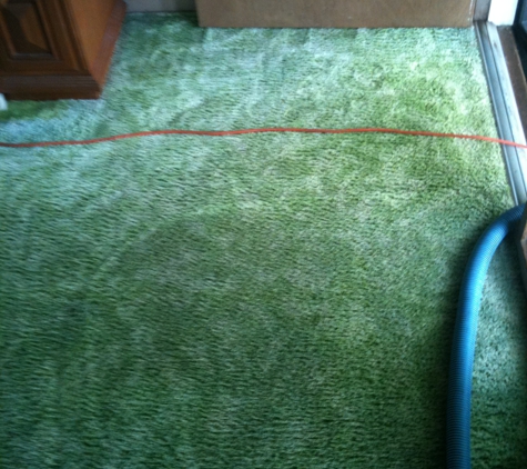 M & M Carpet & Upholstery Cleaning