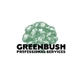 Greenbush Professional Services