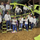 PlayPros - Playgrounds