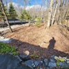 F & S Stump Grinding gallery