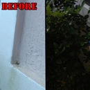 Absolutely Clean Pressure Washing & Roof Cleaning - Power Washing