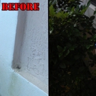 Absolutely Clean Pressure Washing & Roof Cleaning