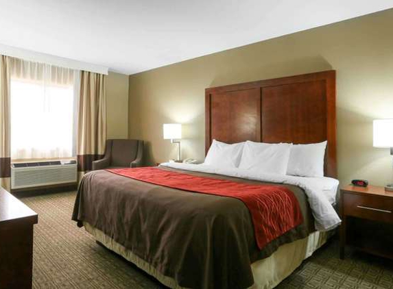 Comfort Inn & Suites Leeds I-20 - Leeds, AL