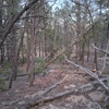 4-E Outdoor Services gallery