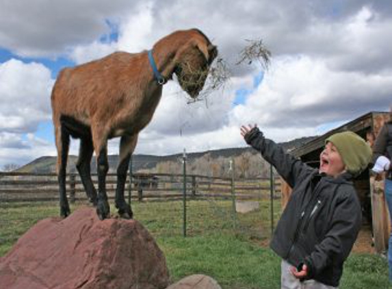 Aces at Rock Bottom Ranch - Basalt, CO