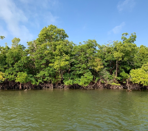 Smallwood Store Boat Tour - Chokoloskee, FL