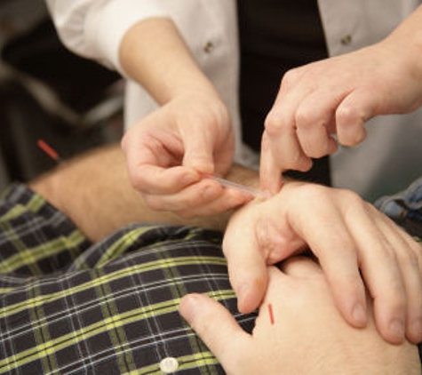 Bodyscapes Acupuncture - Evanston, IL