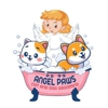 Angel Paws Cat And Dog Grooming gallery