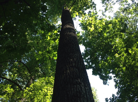 Brookside Nature Center - Wheaton, MD