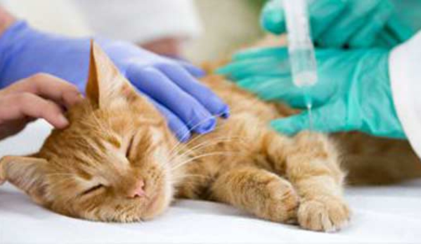 Alcorn Street Veterinary Clinic