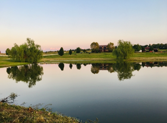 Bryant Contracting LLC - Shelbyville, KY. We can finally see the pond again!