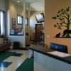 Animal Alley Veterinary Hospital gallery