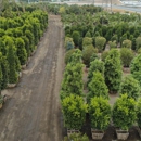 Moon Valley Nurseries - Garden Centers