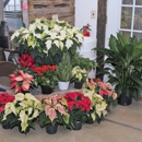 Baskets and Blooms - Garden Centers