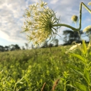 Sangamon River Forest Preserve - County & Parish Government