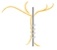 Dr Miles Callahan - Orthopaedic Surgery